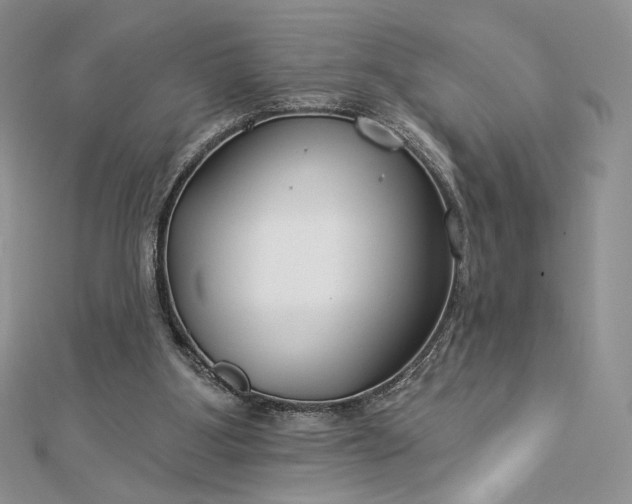 X0000112890107200909041710