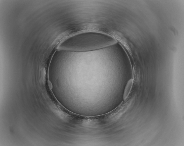 X0000112890109200909041710
