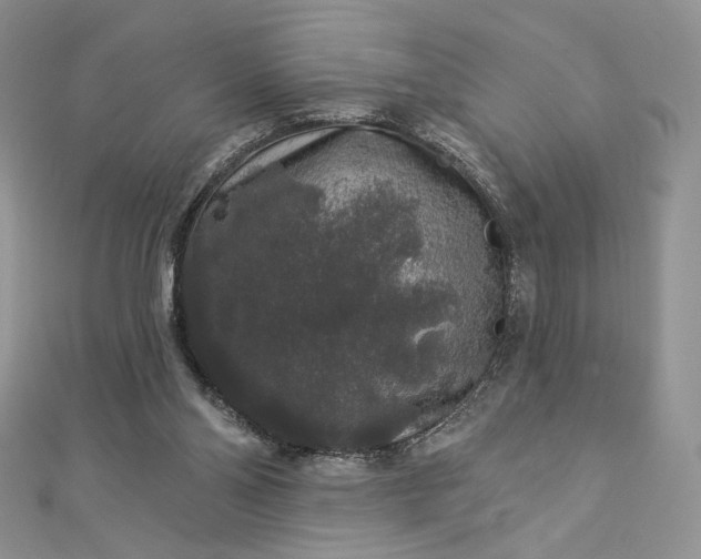 X0000112890110200909041710