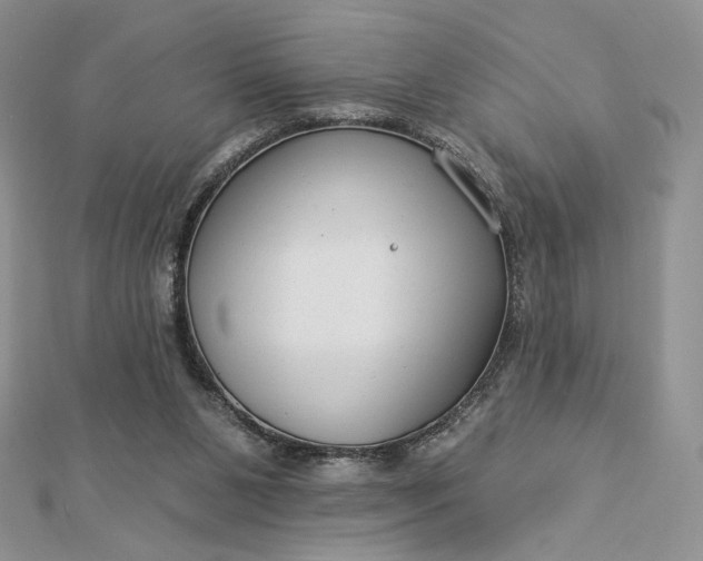 X0000112890111200909041710