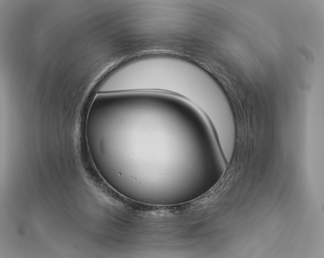 X0000112890112200909041710