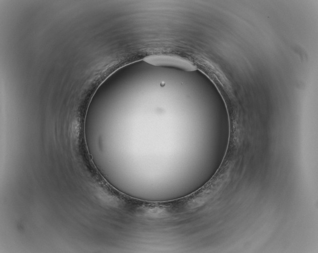X0000112890113200909041710