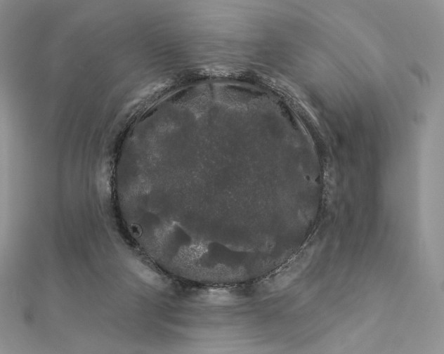 X0000112890114200909041710