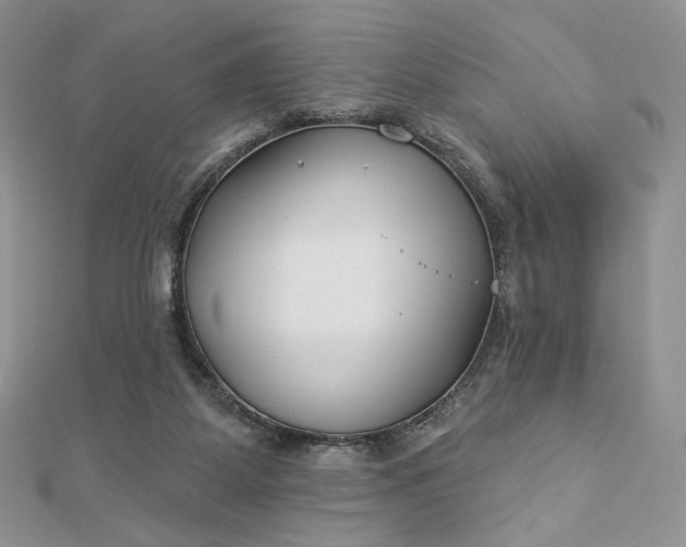 X0000112890115200909041710