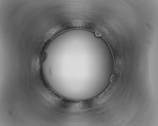 X0000112890116200909041710