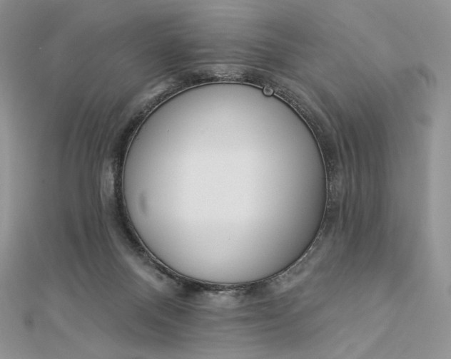 X0000112890120200909041710