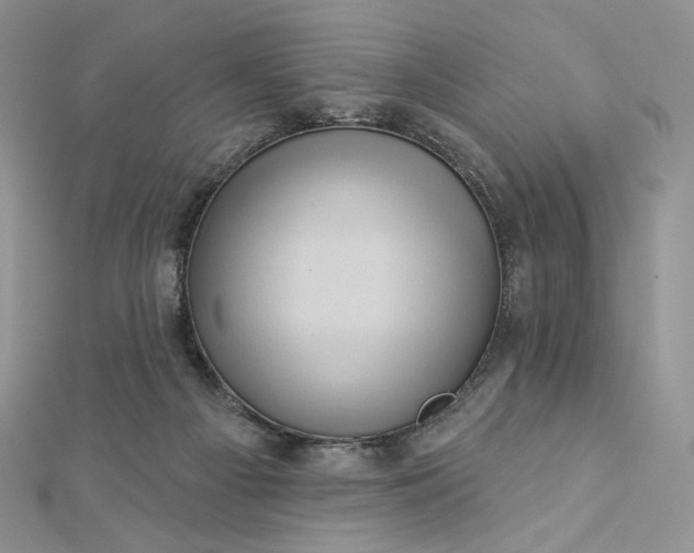 X0000112890121200909041710