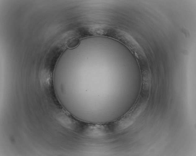 X0000112890125200909041710