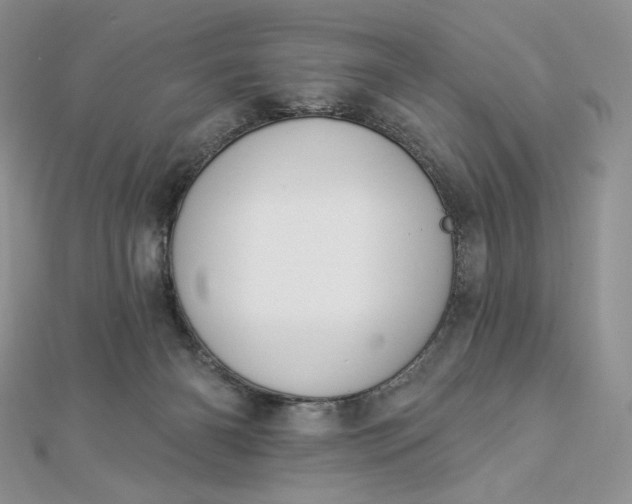 X0000112890126200909041710