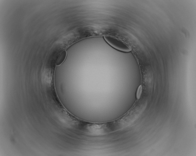 X0000112890129200909041709