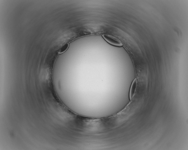 X0000112890132200909041709
