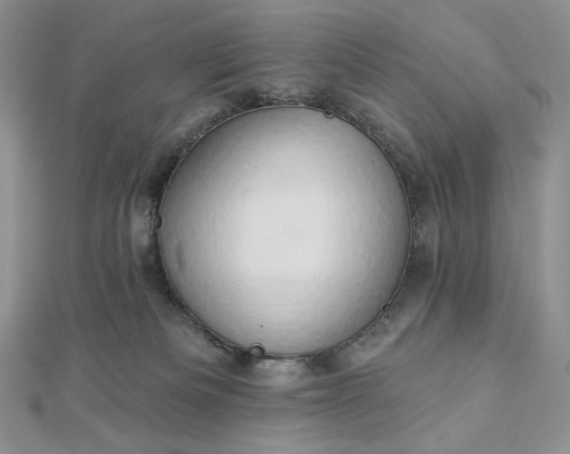 X0000112890133200909041709