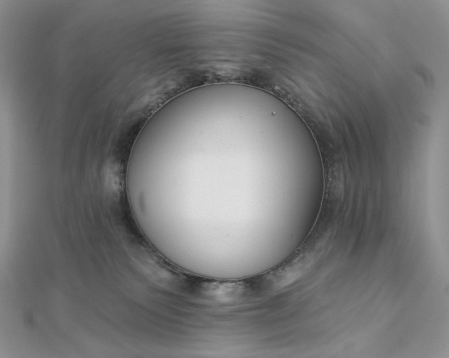 X0000112890135200909041709