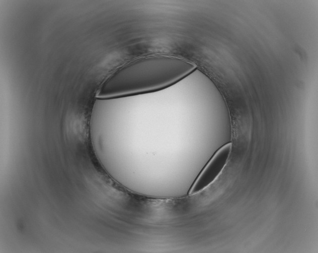 X0000112890136200909041709