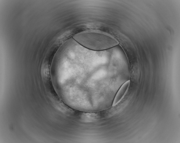 X0000112890137200909041709