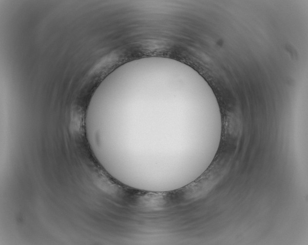 X0000112890138200909041709