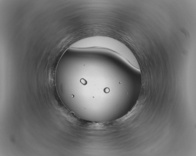 X0000112890140200909041709