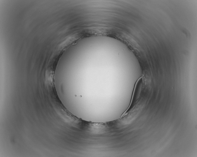 X0000112890141200909041709