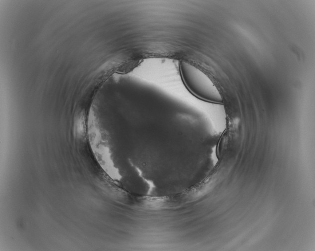 X0000112890143200909041709