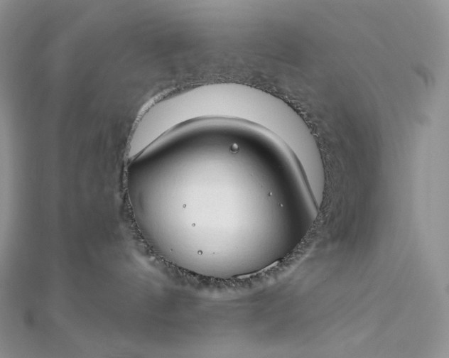 X0000112890144200909041709