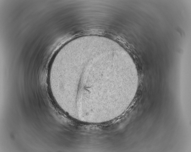 X0000112890146200909041709