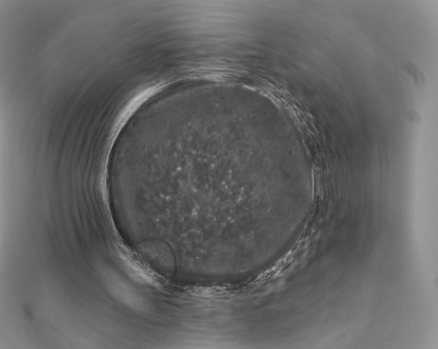 X0000112890147200909041709