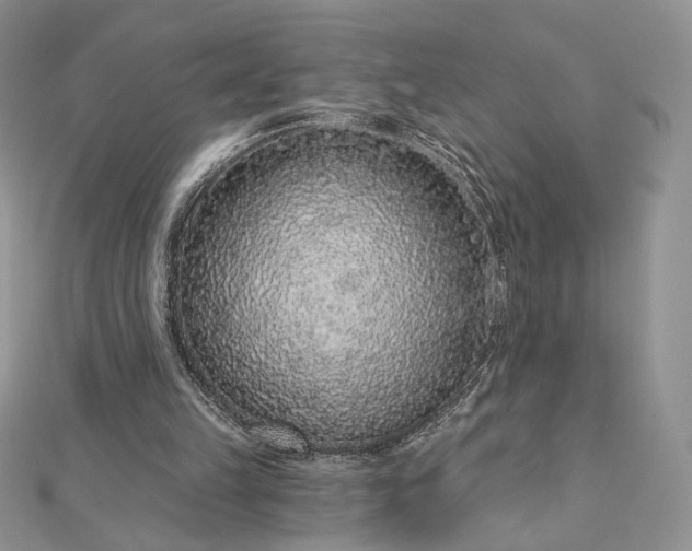 X0000112890149200909041709
