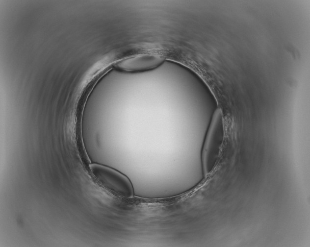 X0000112890150200909041709
