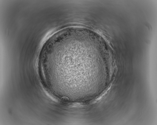 X0000112890151200909041709