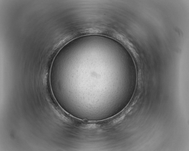 X0000112890153200909041709