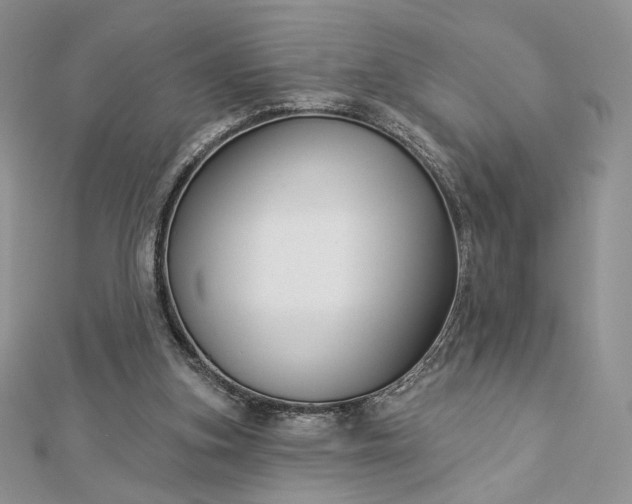 X0000112890155200909041709