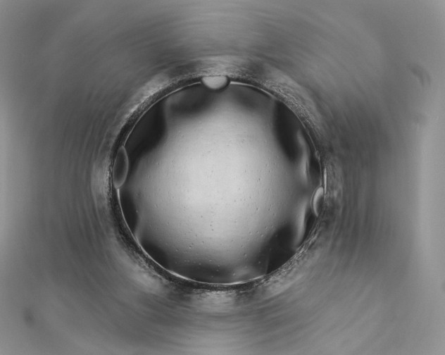 X0000112890156200909041709