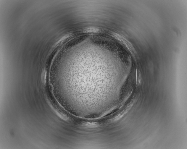 X0000112890157200909041709