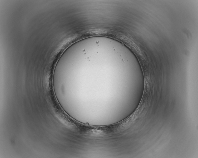 X0000112890159200909041709