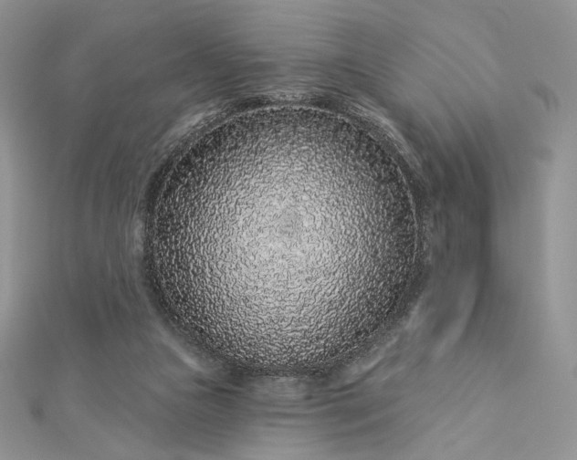X0000112890161200909041709