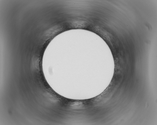X0000112890162200909041709