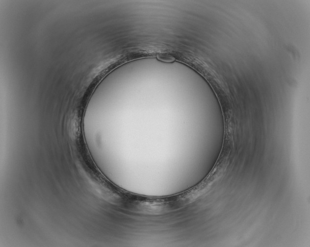 X0000112890164200909041709