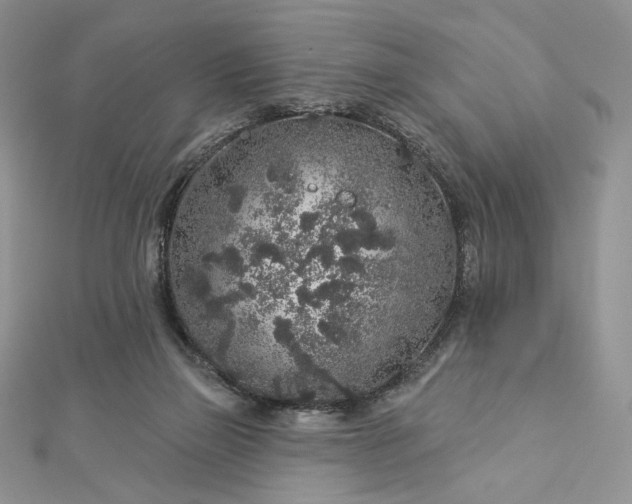 X0000112890165200909041709