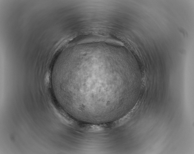 X0000112890166200909041709