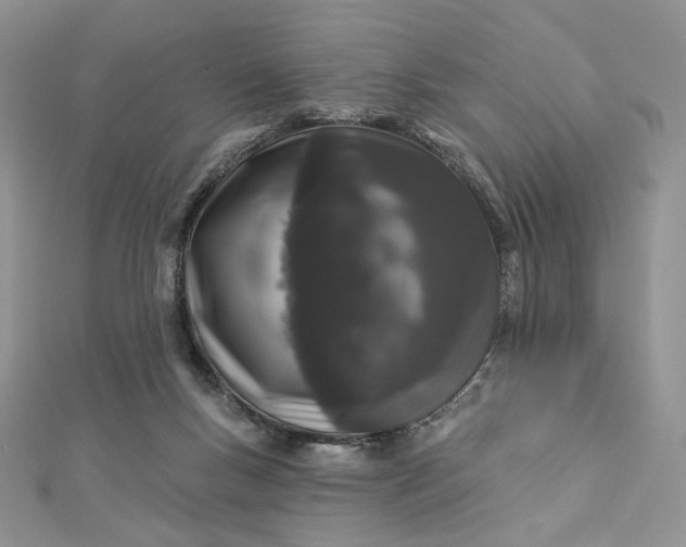 X0000112890167200909041709