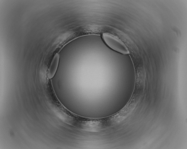 X0000112890168200909041709