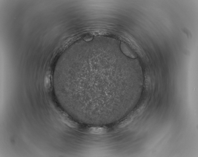 X0000112890169200909041709