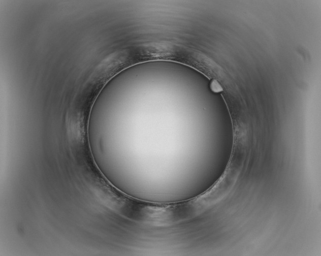 X0000112890170200909041709