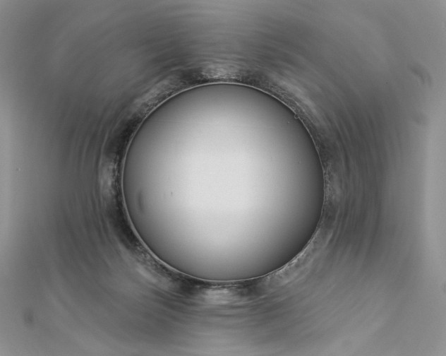X0000112890171200909041709