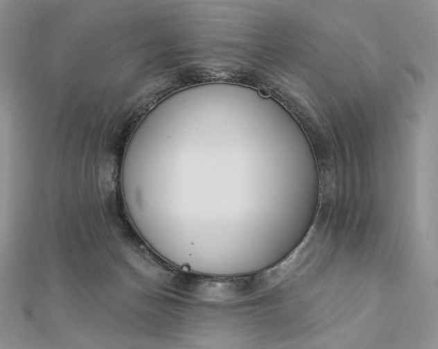 X0000112890174200909041709