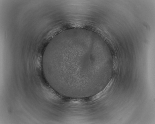 X0000112890175200909041709