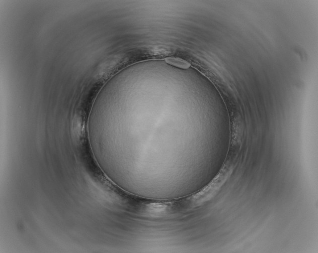 X0000112890176200909041709
