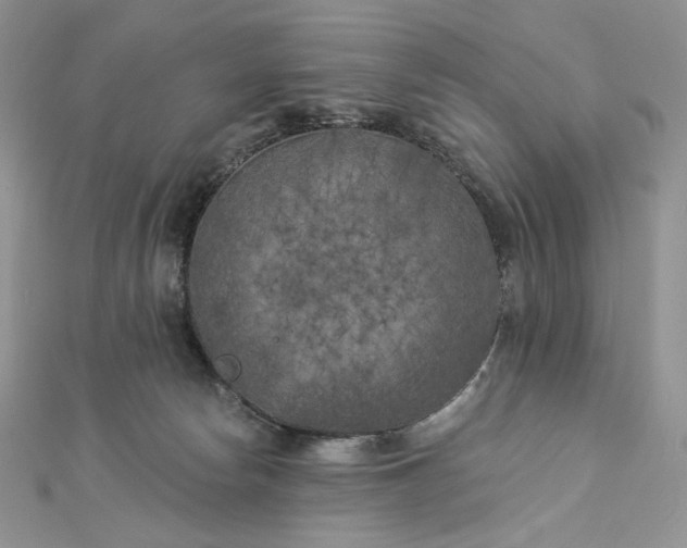 X0000112890178200909041709