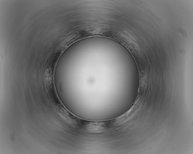 X0000112890179200909041709