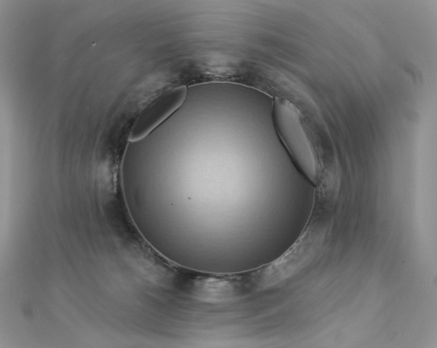 X0000112890180200909041709